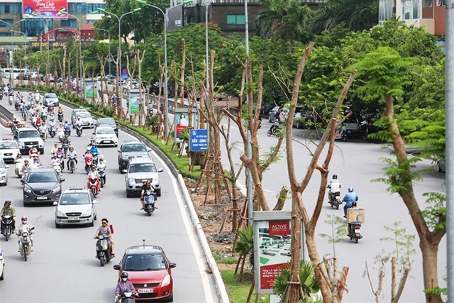 Hà Nội, đô thị cây xanh , dự án